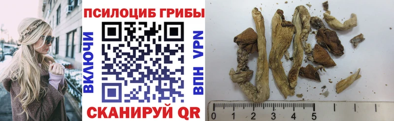 Галлюциногенные грибы ЛСД  Мирный 