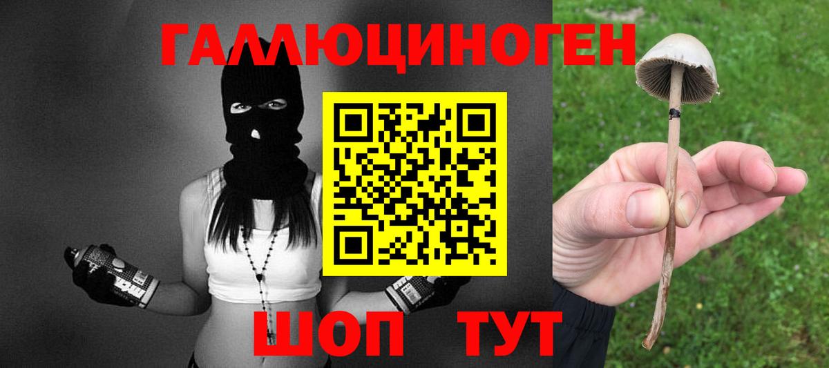 Мирный  сколько стоит  Вход с VPN  Галлюциногенные грибы MAGIC MUSHROOMS 